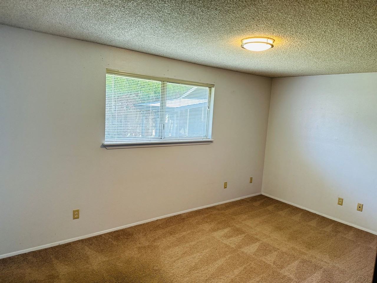 122 Gun Club Rd - Photo 7 of 20