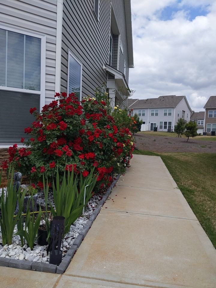 25 Planters Pl #1 - Photo 3 of 27