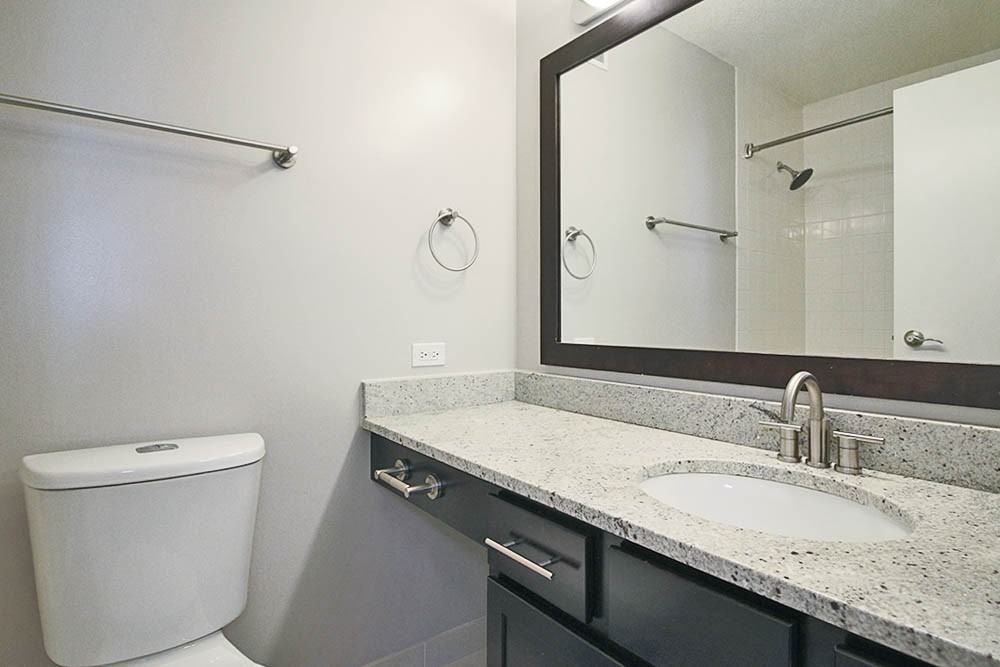 77 West Huron Street #3-3-5 - Photo 6 of 21