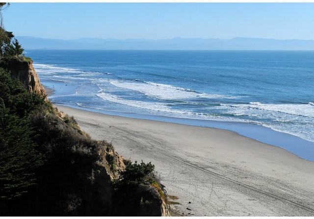 1650 Dolphin Dr #1650 - Photo 2 of 12