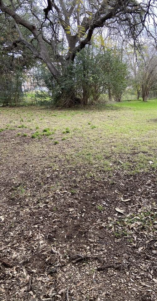 1101 N Wall St #1 - Photo 2 of 10