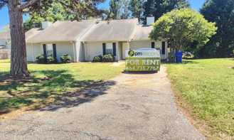 Pointer Ln 06 - Photo 1 of 1