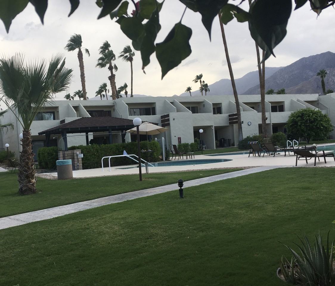 1655 E Palm Canyon Dr #101 - Photo 2 of 18