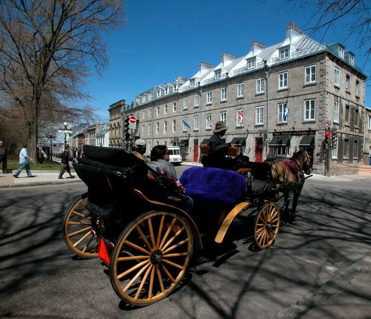 Rue D'Auteuil & Rue Saint-Louis - Photo 6 of 11