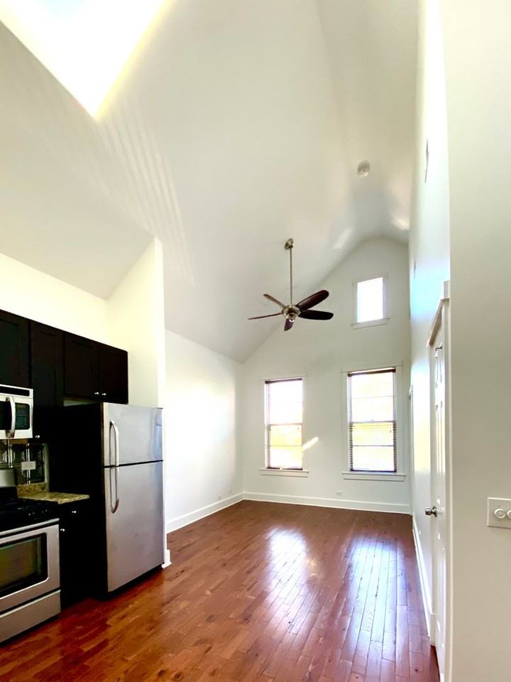 Pilsen 1820 Throop - Photo 6 of 20