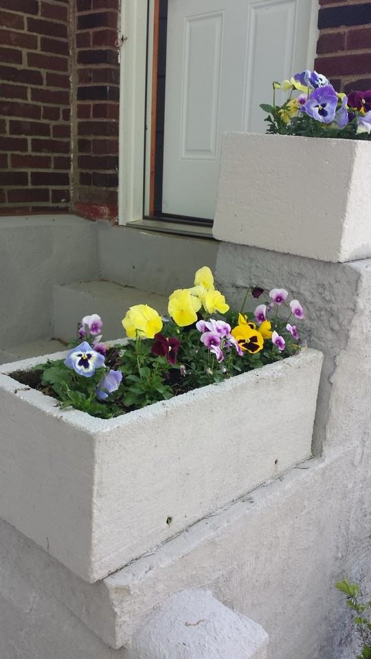 30620 Cannon Rd #NA - Photo 3 of 22