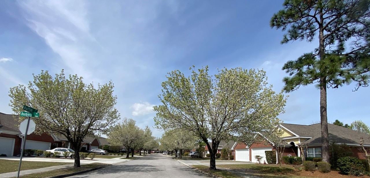 829 Ruffin St - Photo 5 of 38