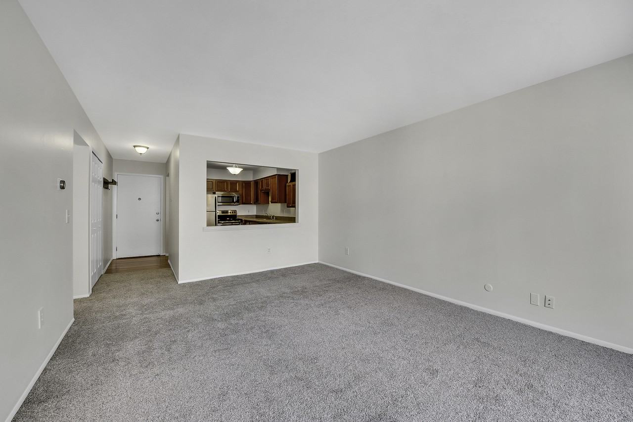 1150 Catalpa Dr #204 - Photo 7 of 18