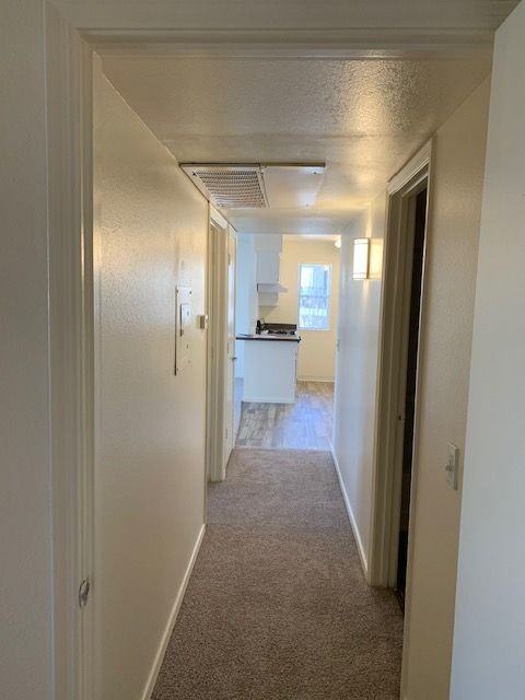 Le Mirage Apartment Homes - Photo 6 of 50