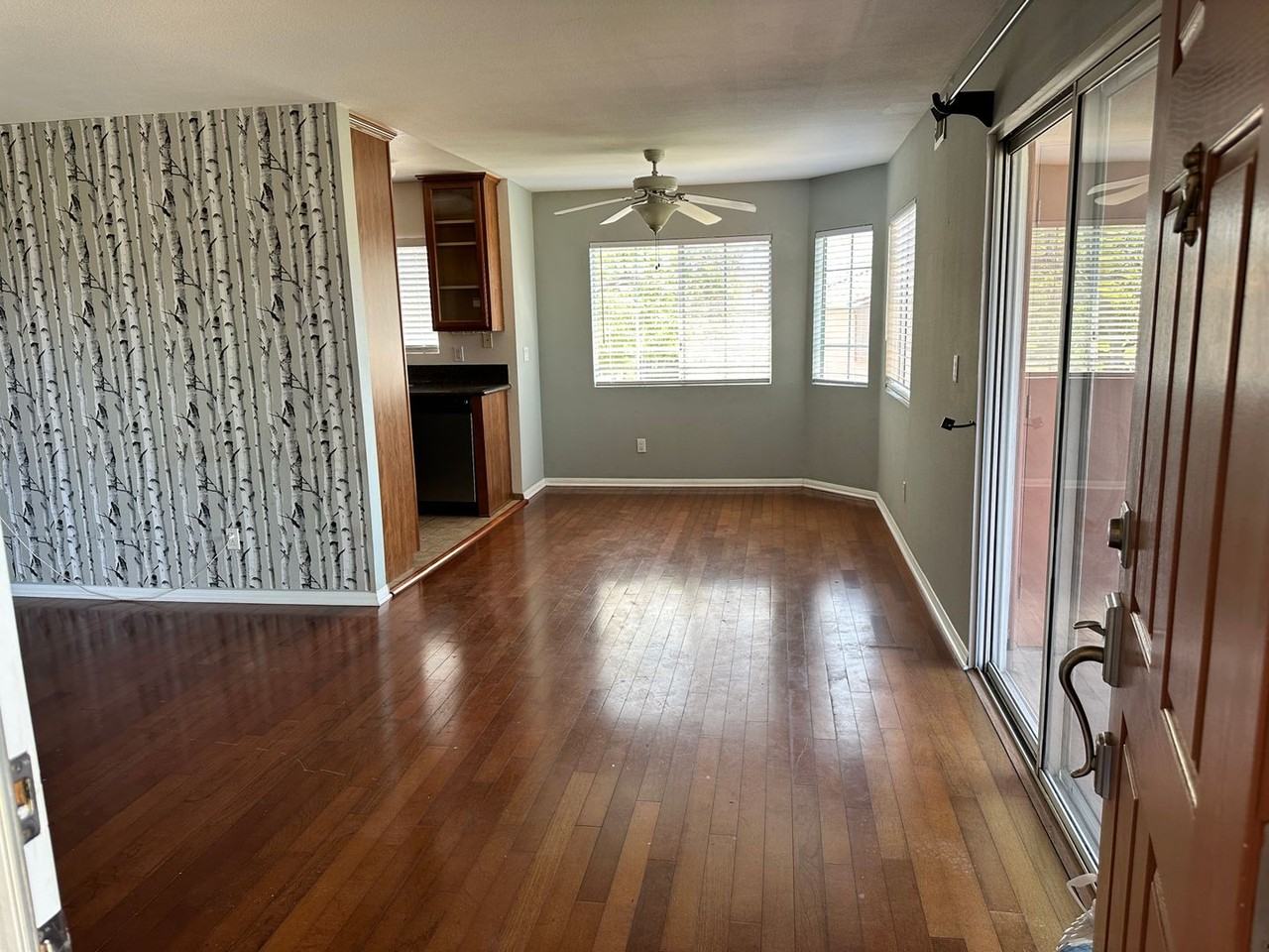 705 Paso De Luz - Photo 3 of 16