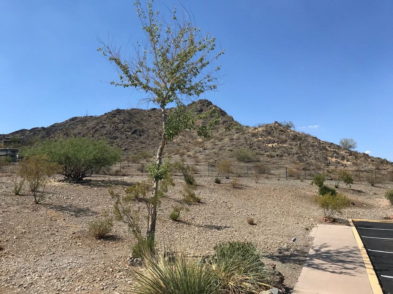 418 E Turquoise Ave - Photo 6 of 27