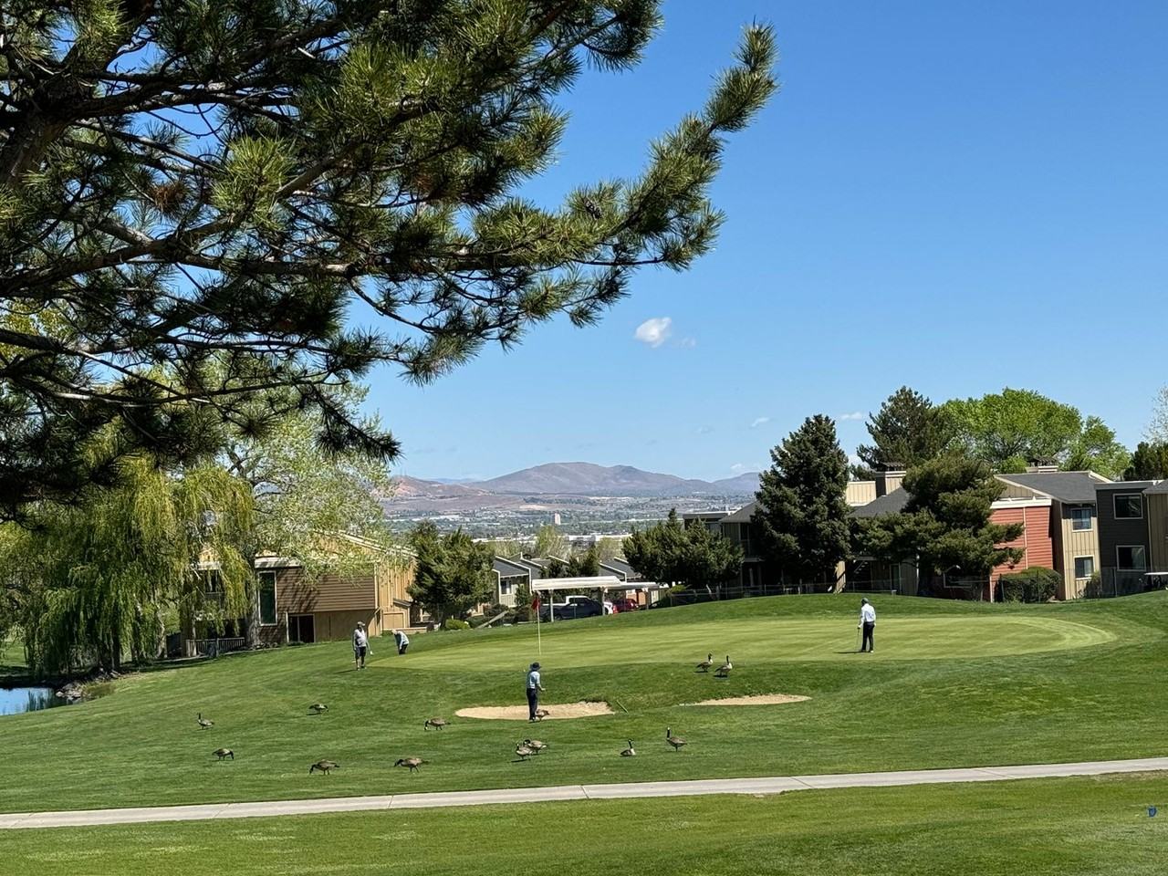 1951 Mountain Vista Way