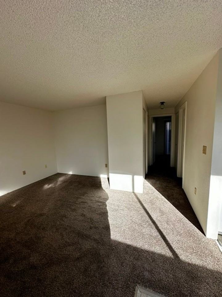 S. Williams Ave. 104 - Photo 3 of 11