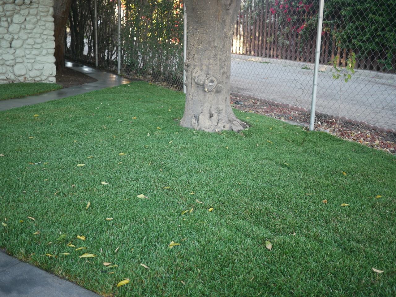 248 N J St - Photo 3 of 50