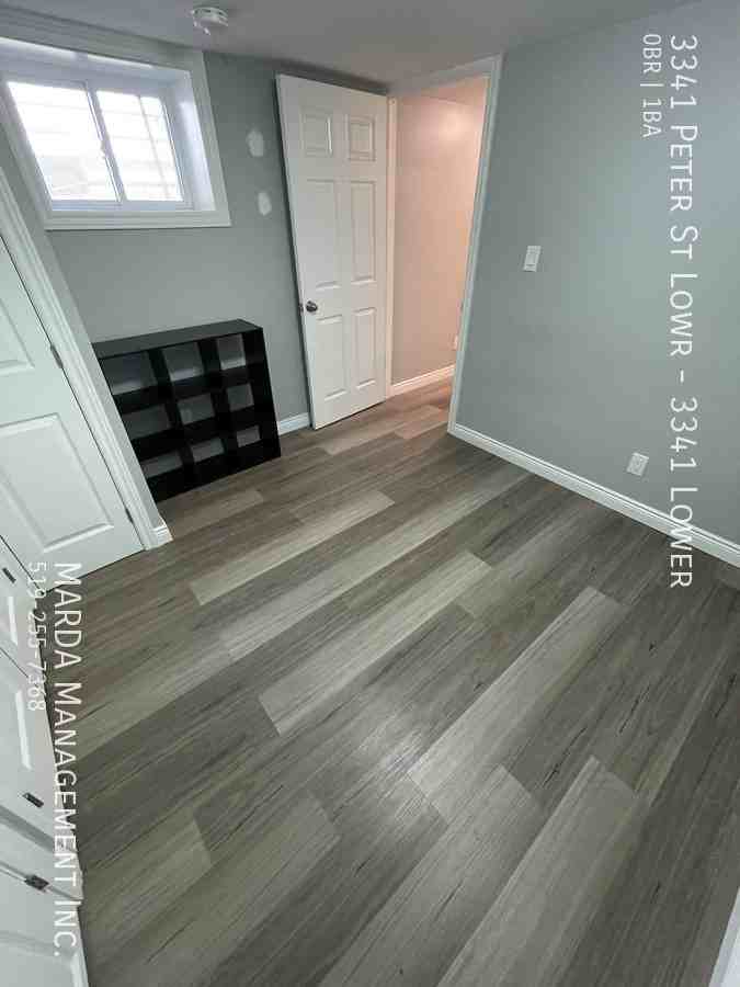 3341 Peter St Lowr #3341LOWER - Photo 5 of 13