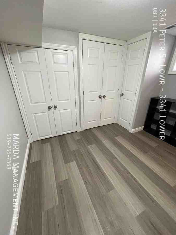 3341 Peter St Lowr #3341LOWER - Photo 3 of 13