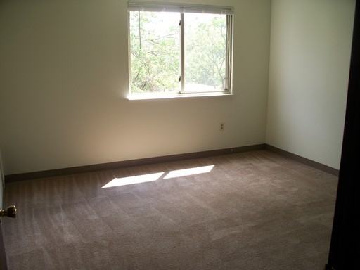 31 Sunnyhill Dr - Photo 3 of 4