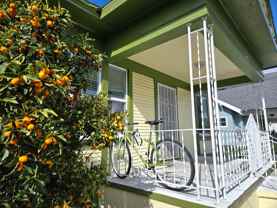 Kumquat Grove - Photo 1 of 1