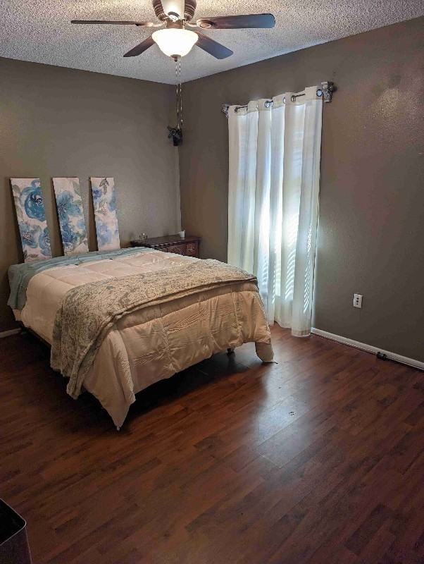 4360 Stumberg Ln - Photo 4 of 6