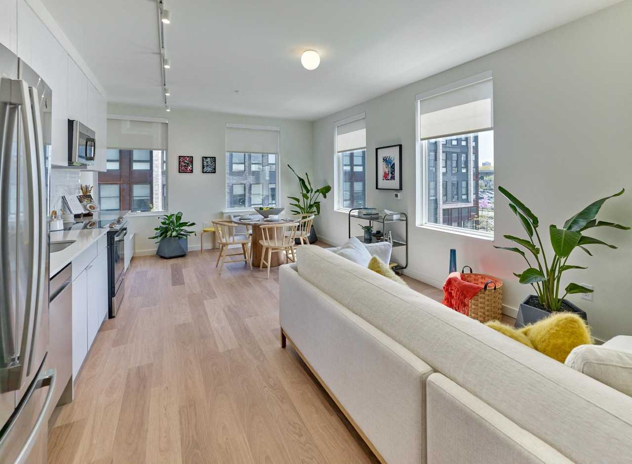 Starling - Photo 4 of 20