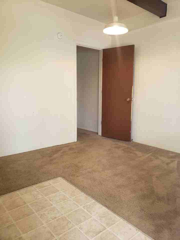 24214t - Photo 2 of 23