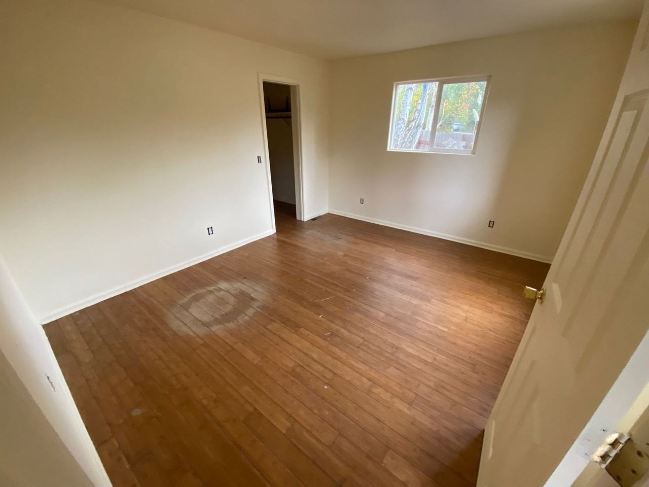 1100 Aloha Way - Photo 3 of 16