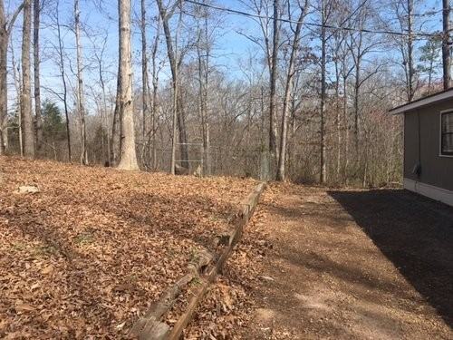 228 Spring Branch - Photo 4 of 6