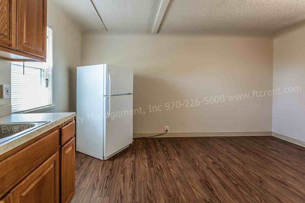 161 S Lincoln Avenue - Photo 7 of 21