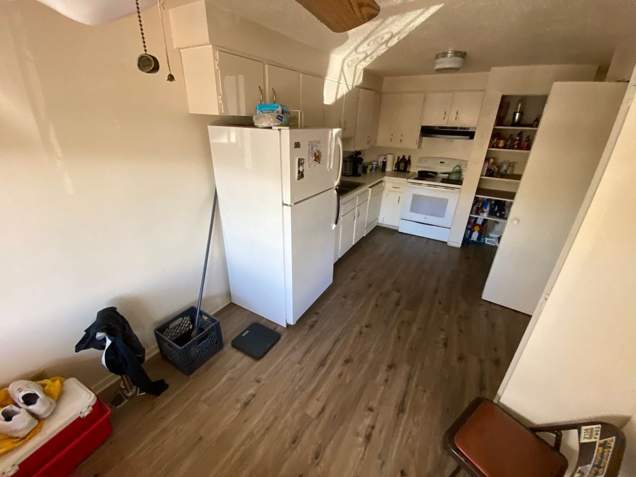 313 (RED) - Photo 2 of 11