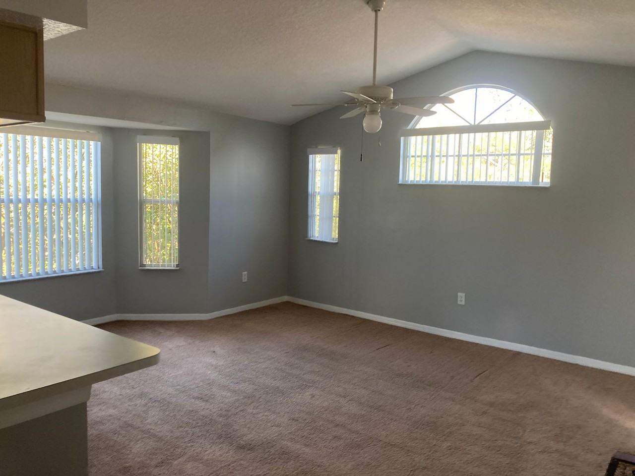 8710 Rain Forest Place #D - Photo 5 of 13