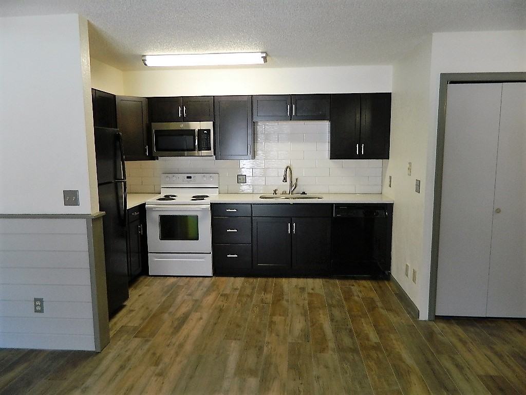 559 Rainbow Dr - Photo 2 of 21