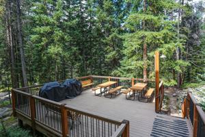 featured image of 105 105 Tannenbaum