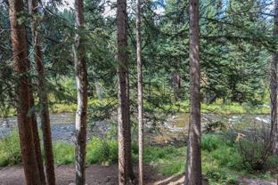 105 105 Tannenbaum - Photo 1 of 1