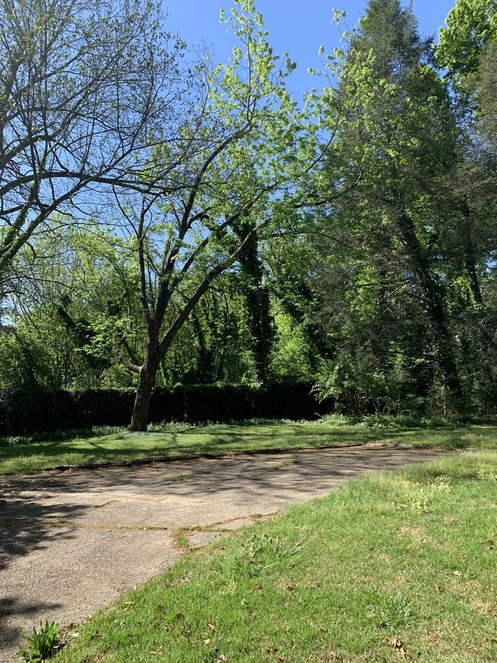 1196 Morningside Dr - Photo 6 of 12