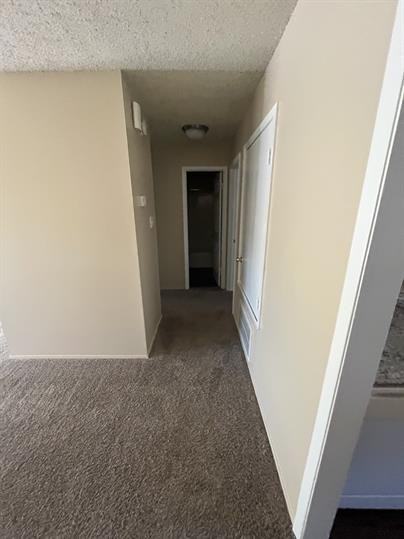 910 North Park Street - Photo 3 of 21