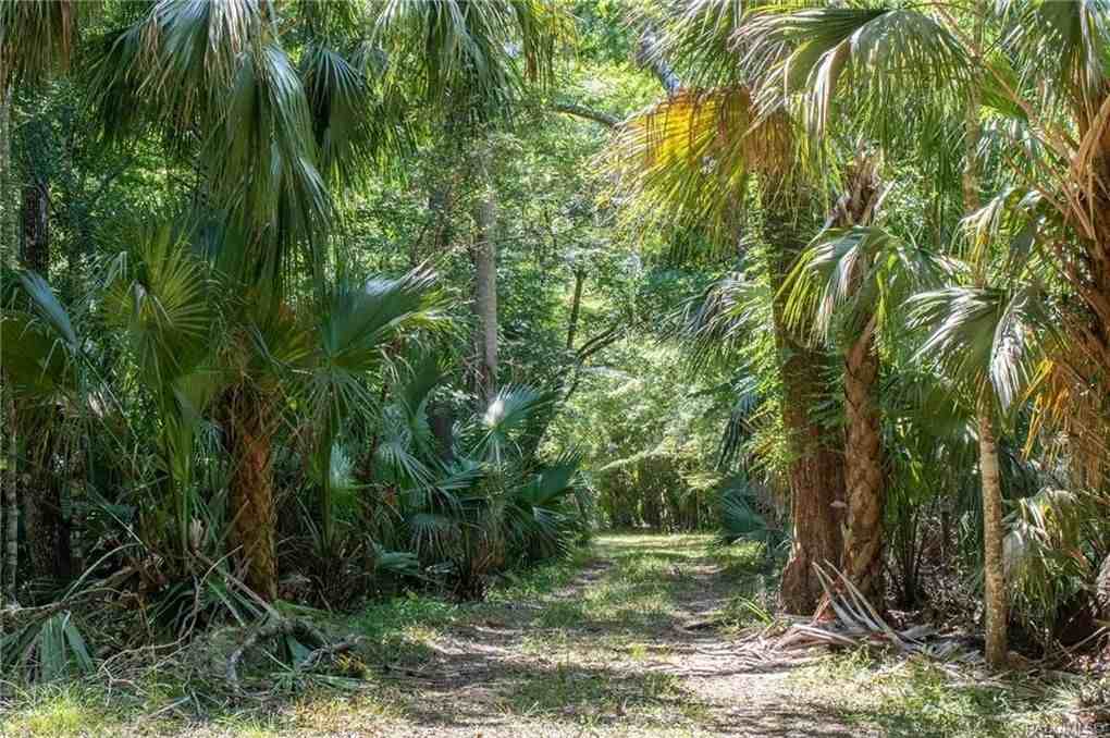 217 South Tuck Point #1 - Photo 5 of 27