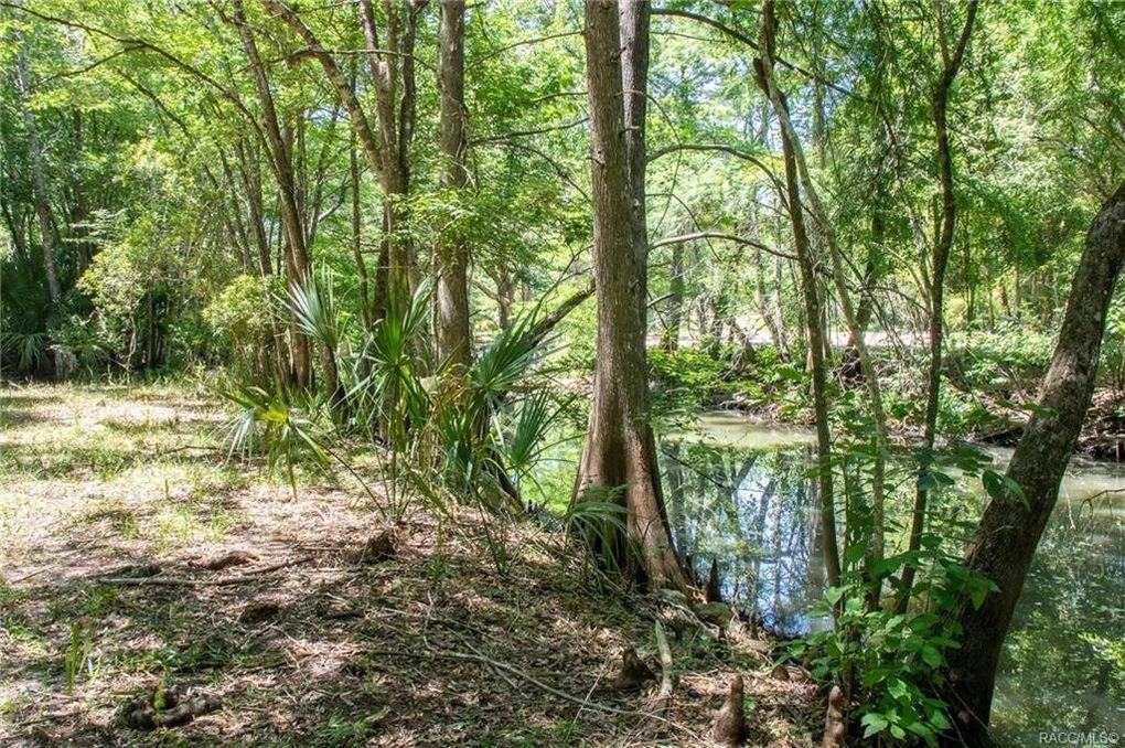 217 South Tuck Point #1 - Photo 6 of 27