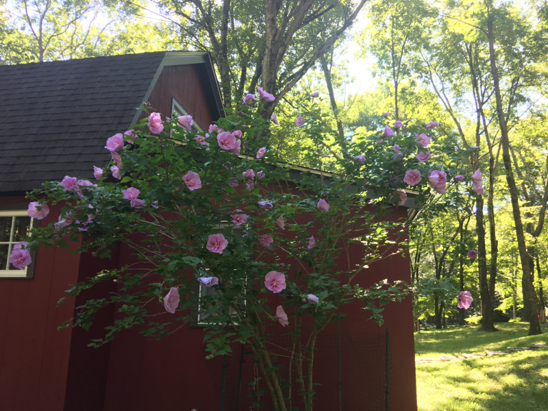 300 Chestnut Hill Rd - Photo 5 of 36