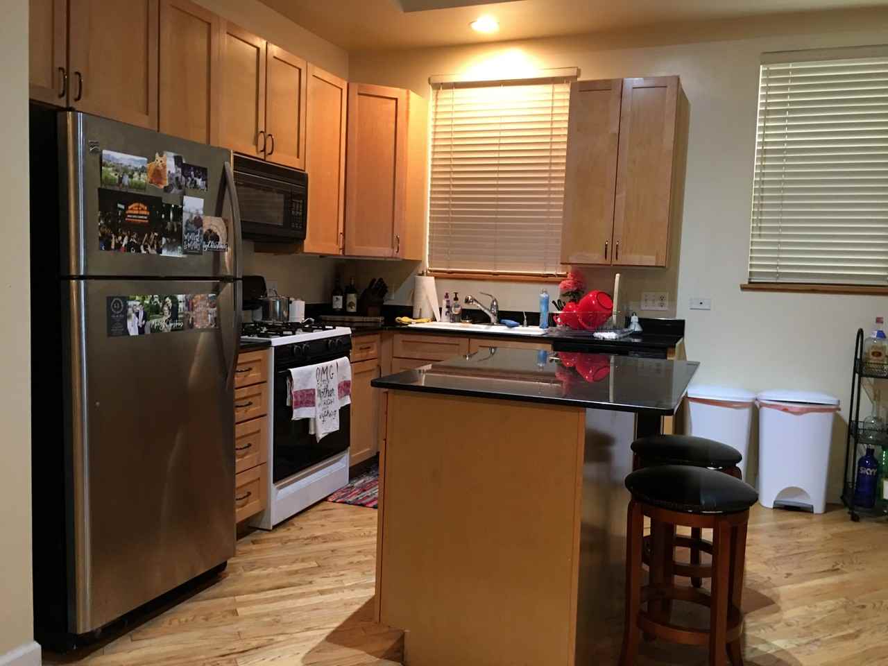 1821 N Clybourn Ave #1 - Photo 3 of 13