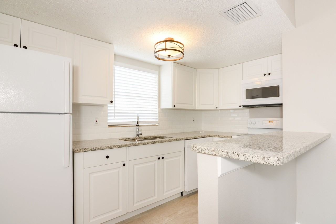 Oasis I on St Pete Beach - Photo 4 of 8