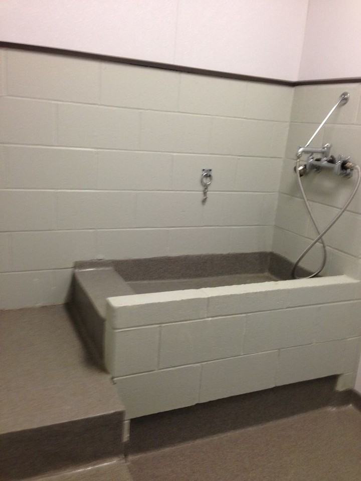 Olympiad Housing LLC - Photo 5 of 10