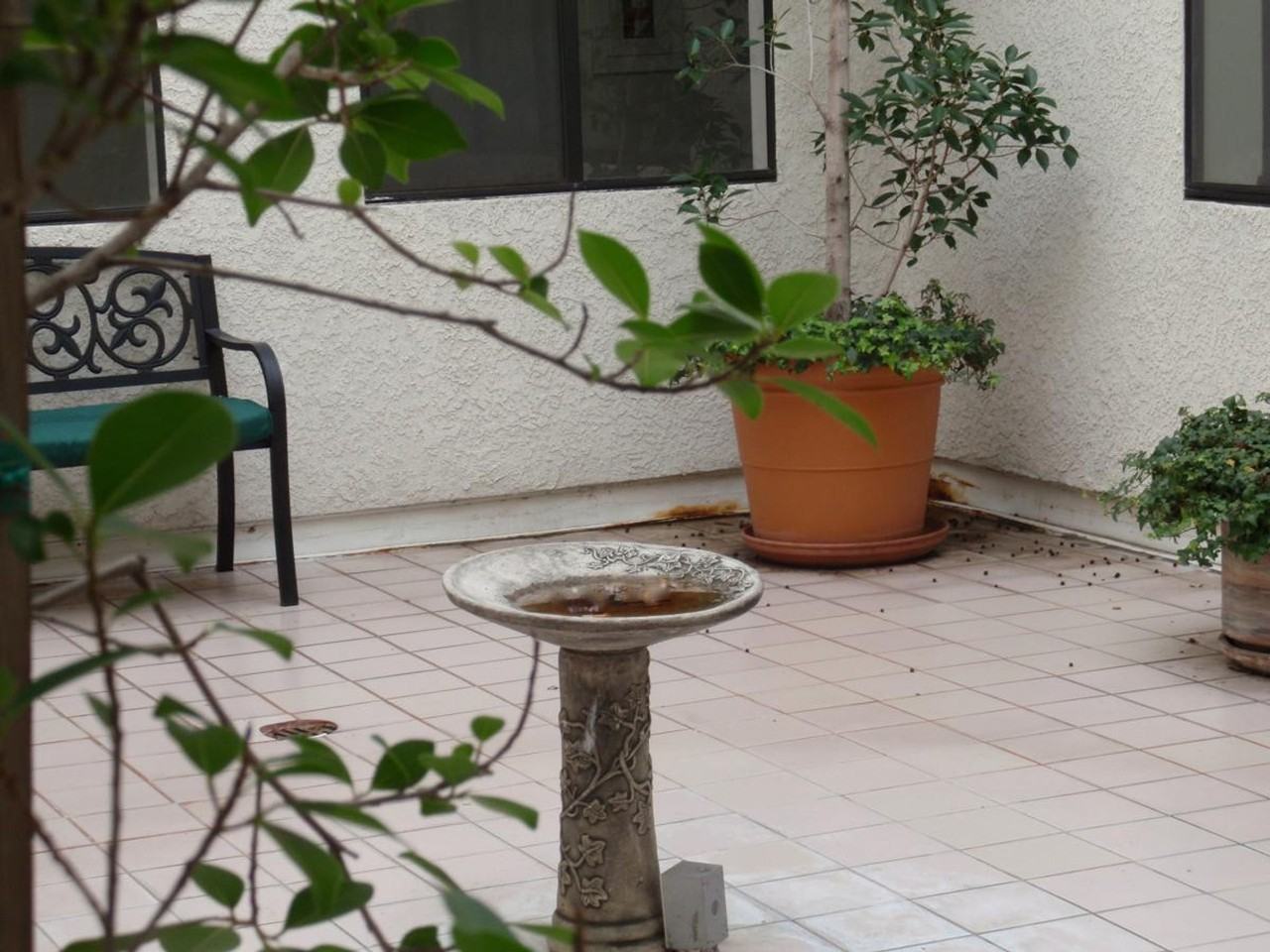 Lassen Apartments - Photo 5 of 6