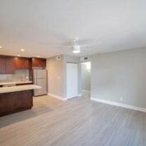 Palm Lane - Photo 1 of 1