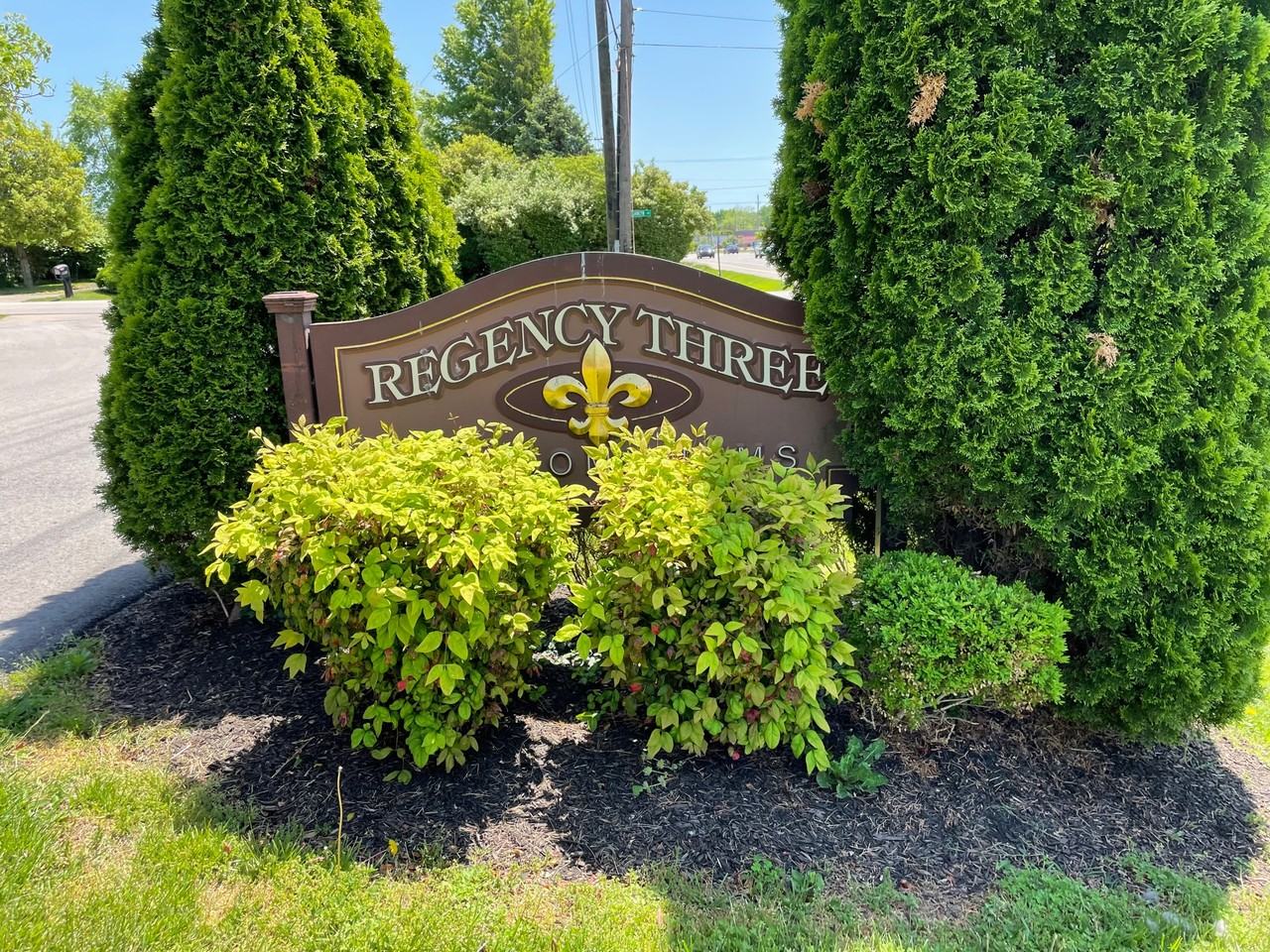 9345 Taylorsville Rd #17 - Photo 3 of 13