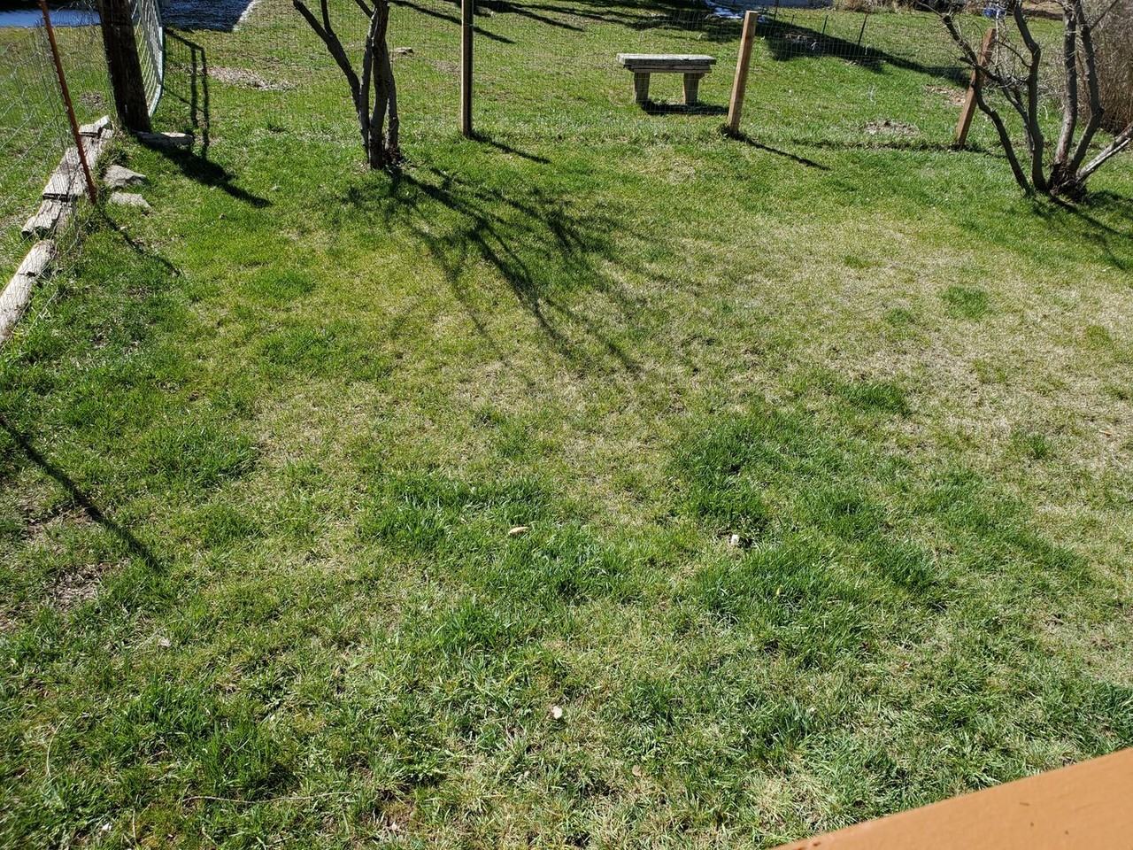 5529 Shasta Way - Photo 3 of 14