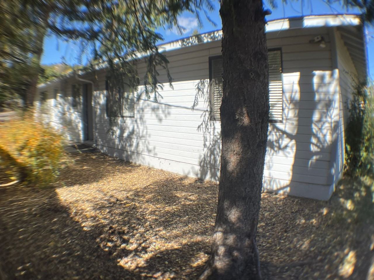 1728 N West St #B - Photo 4 of 25