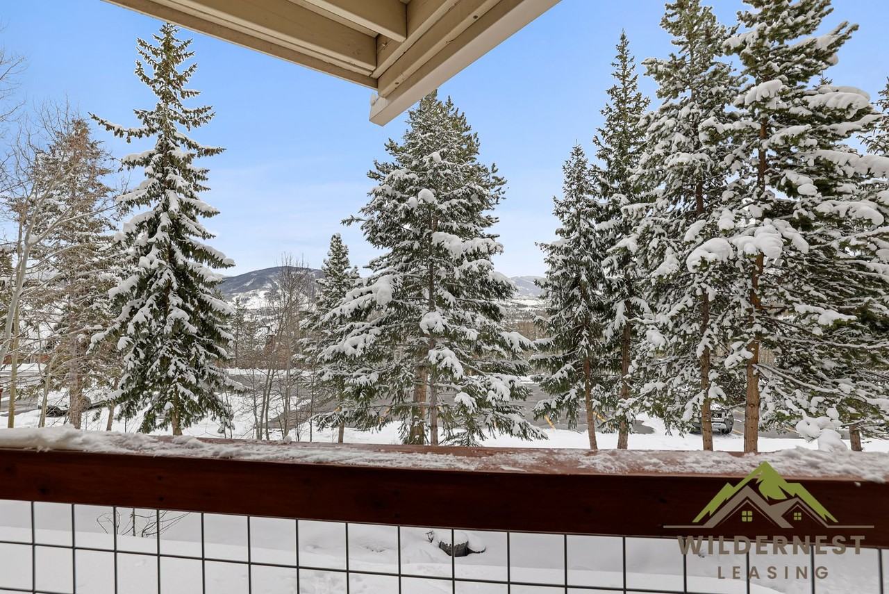 7213 Ryan Gulch Rd - Photo 5 of 15