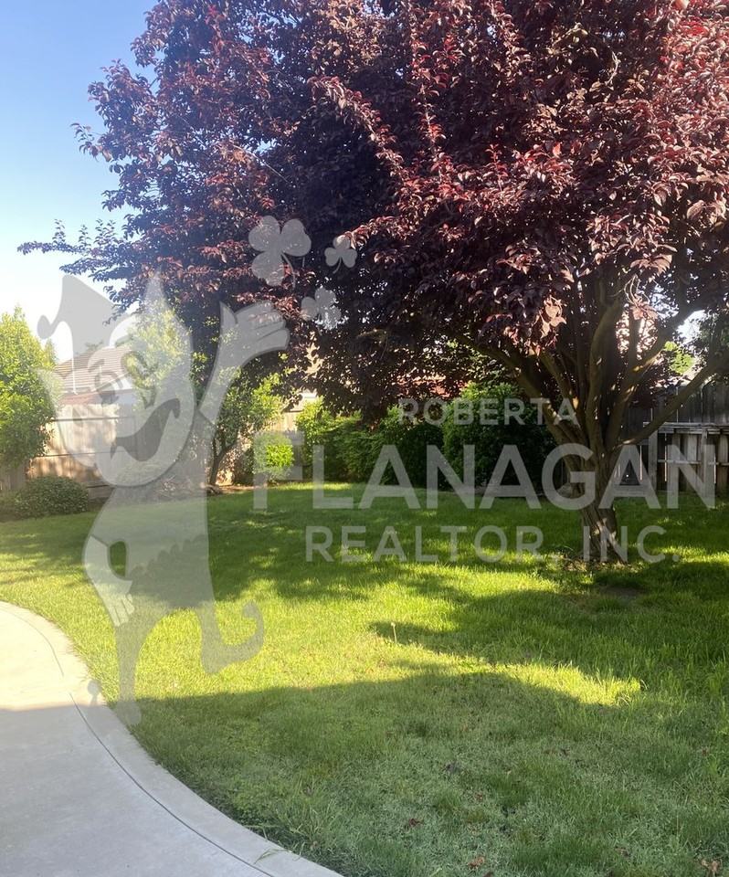 3042 Bea Dr - Photo 2 of 25