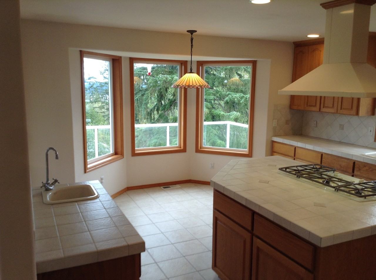 545 Shuksan Arm Ct - Photo 3 of 20