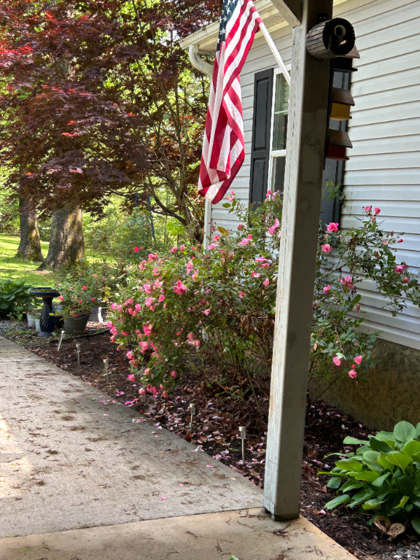 33 T And E Ln - Photo 4 of 21